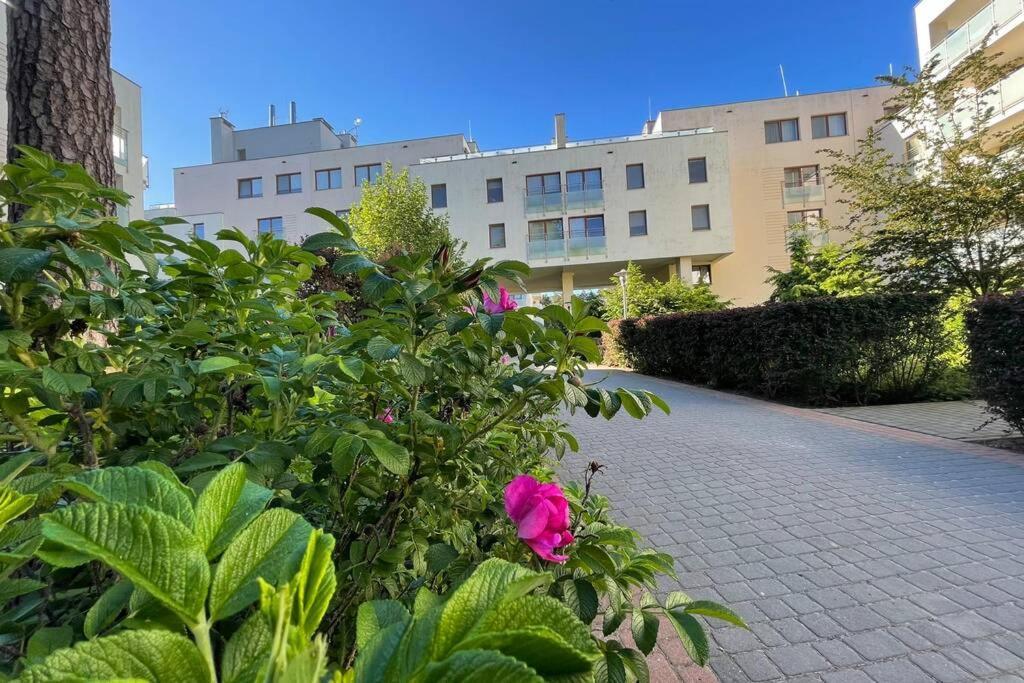 Sunsandsea Apartment *